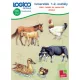 LOGICO Piccolo 3461 - Ismeretek 1-2. osztály