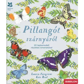 Pillangót szárnyáról – 20 lepkemodell részletes ismertetővel