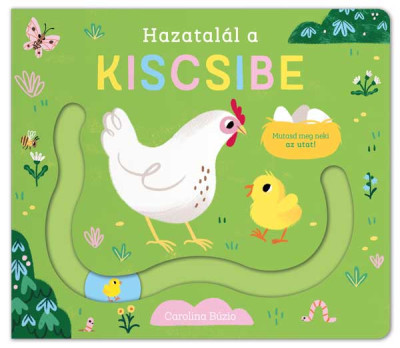 Hazatalál a kiscsibe
