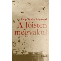 A Jóisten megvakul