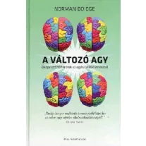 A változó agy
