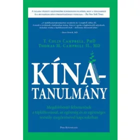 Kína-tanulmány
