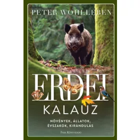 Erdei kalauz - Növények, állatok, évszakok, kirándulás