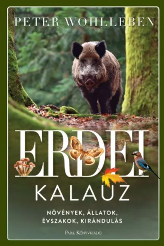 Erdei kalauz - Növények, állatok, évszakok, kirándulás
