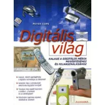 A digitális világ