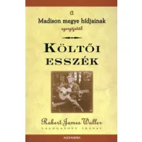 Költői esszék