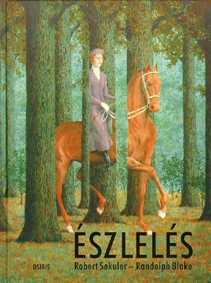 Észlelés