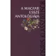 A magyar esszé antológiája IV.