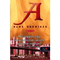 Bane krónikák 8. - Mit vegyünk egy árnyvadásznak?