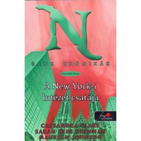 A New York-i intézet csatája (puhatáblás)