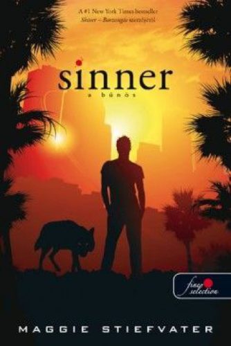 Sinner - A bűnös (kemény táblás)