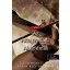 Welcome to Shadowhunter Academy - Az árnyvadász akadémia