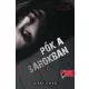 Pók a sarokban