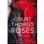 A Court of Thorns and Roses - Tüskék és rózsák udvara (Tüskék és rózsák udvara 1.)