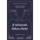 A tehenek titkos élete