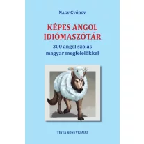   Képes angol idiómaszótár - 300 angol szólás magyar megfelelőkkel