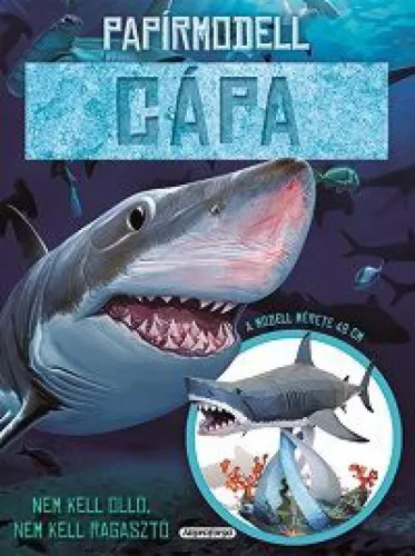 Papírmodell - Cápa
