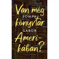 Van még könyvtár Amerikában?