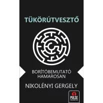 Tükörútvesztő