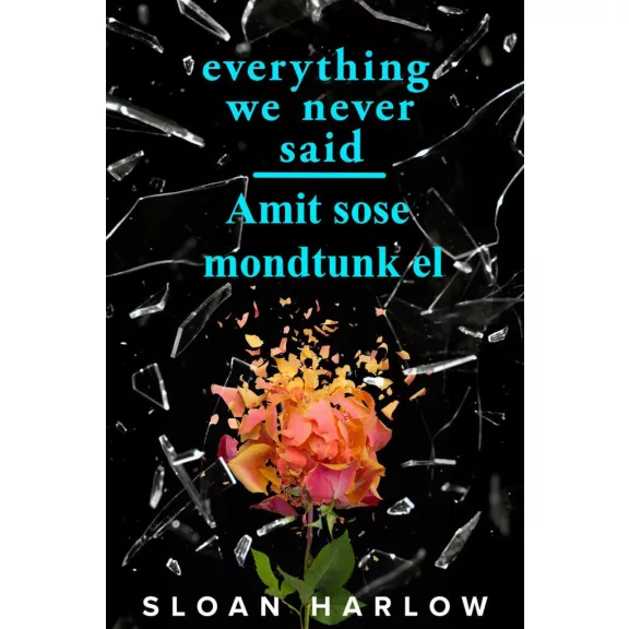 Everything We Never Said - Amit sose mondtunk el Everything We Never Said - Amit sose mondtunk el