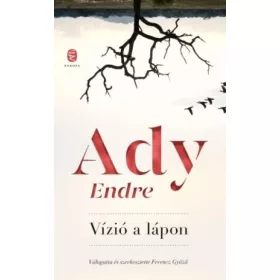 Vízió a lápon
