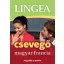 Magyar-francia csevegő