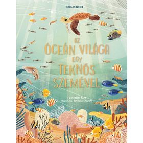 Az óceán világa egy teknős szemével