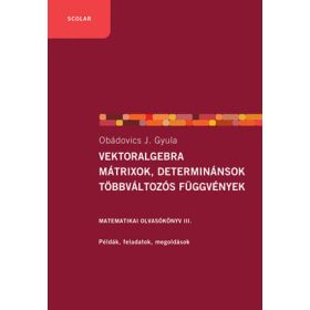 Vektoralgebra, mátrixok, determinánsok, többváltozós függvények