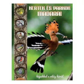 Kertek és parkok madarai - Képekkel a világ körül