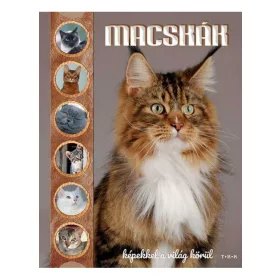 Macskák - Képekkel a világ körül