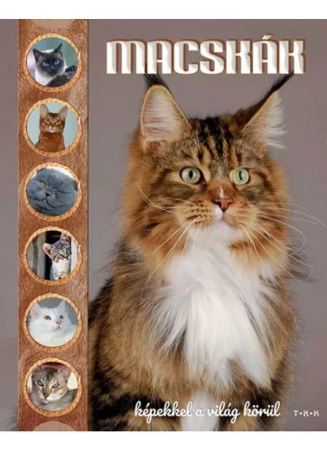 Macskák - Képekkel a világ körül