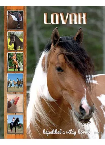 Lovak - Képekkel a világ körül