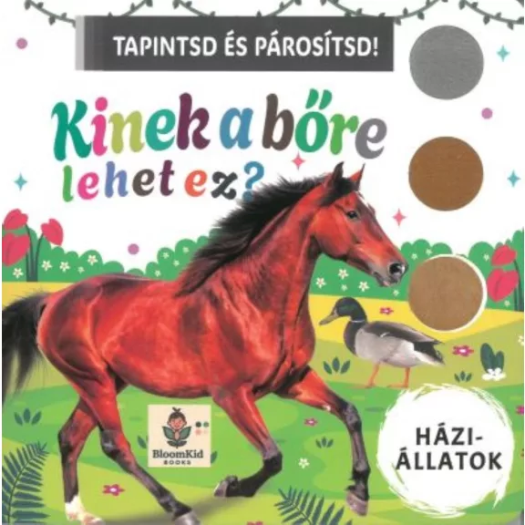 Kinek a bőre lehet ez? - Háziállatok - Tapintsd és párosítsd! Kinek a bőre lehet ez? - Háziállatok - Tapintsd és párosítsd!