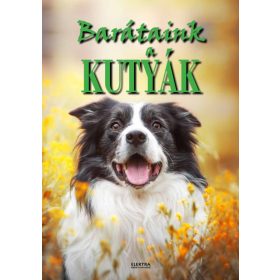 Barátaink a kutyák