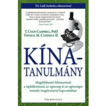 Kína-tanulmány
