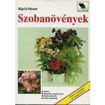 Szobanövények