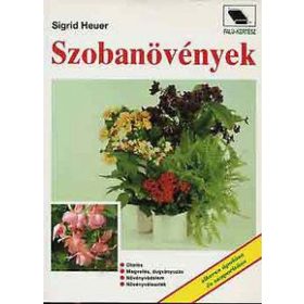 Szobanövények