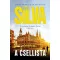 A csellista