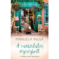 A varázslatos régiségbolt