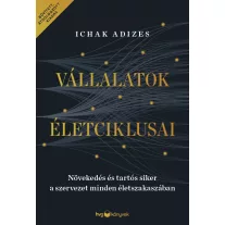 Vállalatok életciklusai