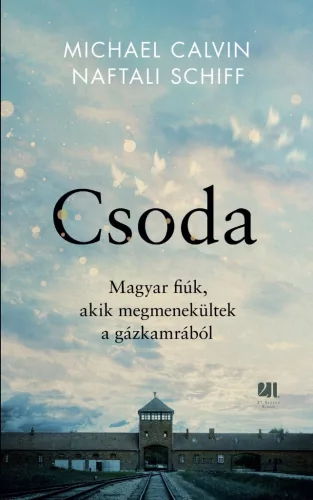 Csoda