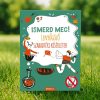 Ismerd meg! Lenyűgöző szabadtéri kísérletek