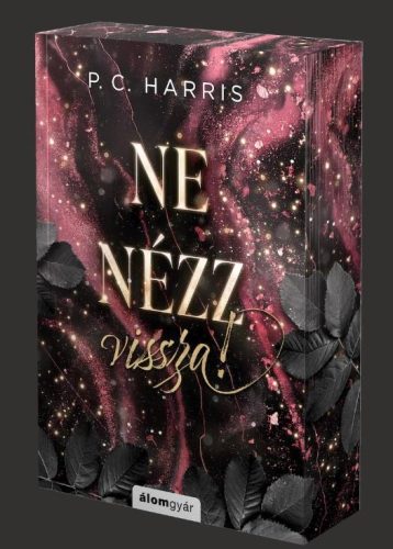 Ne nézz vissza! - Élfestett kiadás