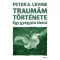 Traumám története