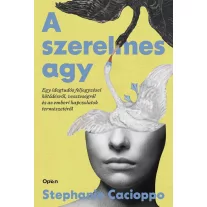 A szerelmes agy