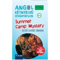 PONS Summer Camp Mystery