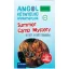 PONS Summer Camp Mystery