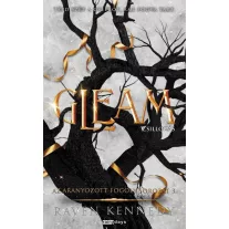 Gleam - Csillogás - Éldekorált kiadás