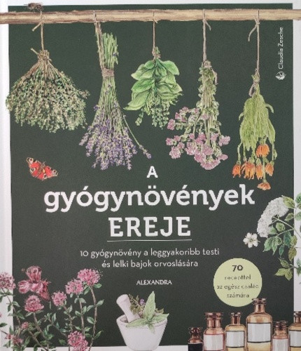 A gyógynövények ereje
