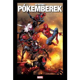 Mi vagyunk a Pókemberek